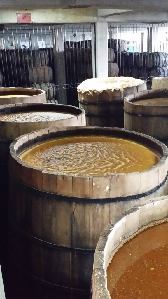 The traditional fermentation tanks at La Altena are made from pine. The open vats allow airborne yeast and bacteria to freely mix with the juice. Fermentation lasts between 4-5 days