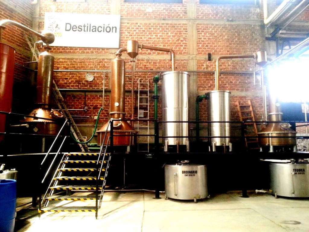 The double distillation process is performed first in a stainless steel pot still of 3,500 liter capacity and then in a copper pot still of 300 liter capacity. 